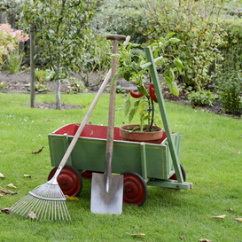 Garten