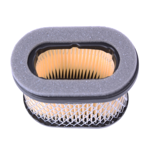 Luftfilter - Set fr Briggs & Stratton 5,5 PS & 6,5PS  697029