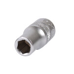 Projahn 6 mm Stecknuss 1/4" Professional Sechskant