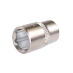 Projahn 12 mm Stecknuss 1/4" Professional Sechskant
