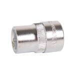 Projahn 10 mm Stecknuss 3/8" Professional Sechskant