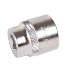 Projahn 19 mm Stecknuss 3/8" Professional Sechskant
