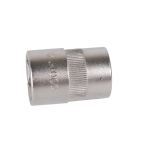 Projahn 19 mm Stecknuss 1/2" Professional Sechskant