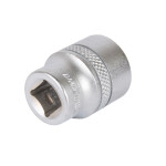 Projahn 17 mm  3/8" Stecknuss Xi-on Plus Sechskant