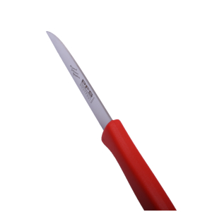 Original PFS SOLINGEN Kchenmesser/Schlmesser/Gemsemesser mit Kunststoffgriff, gerade Klinge
