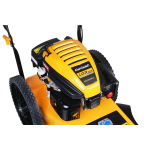 Cub Cadet Wiesenmäher LC3 DP56 Force Series (Rasentrimmer)