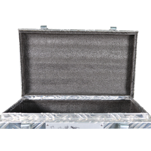 E-Schweigertekoffer klein mit Platz fr Kabel  42 x 55 x 25 cm Aluminium WELDINGER