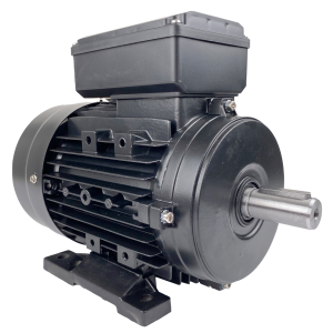 Elektromotor fr Werkzeugmaschinen Standmontage 1500 W 2800 U/min