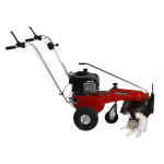 Tielbürger Kehrmaschine TK17 mit Briggs &...