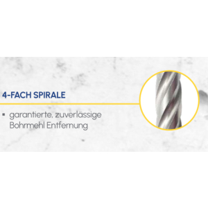 Quadro Bite Hammerbohrer-Set fr armierten Beton und Naturstein 7-tlg. SDS-Plus WELDINGER
