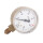 Arbeitsdruckmanometer Formiergas 50 l/min 1/4" rechts 63 mm